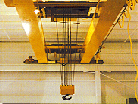 vitalcrane002004.gif